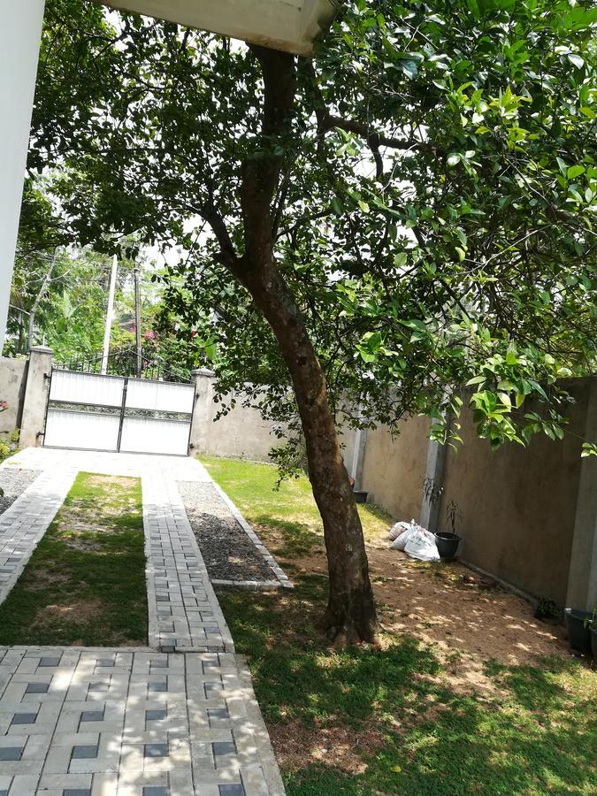 Sea Breeze Hotel Bentota Exterior photo